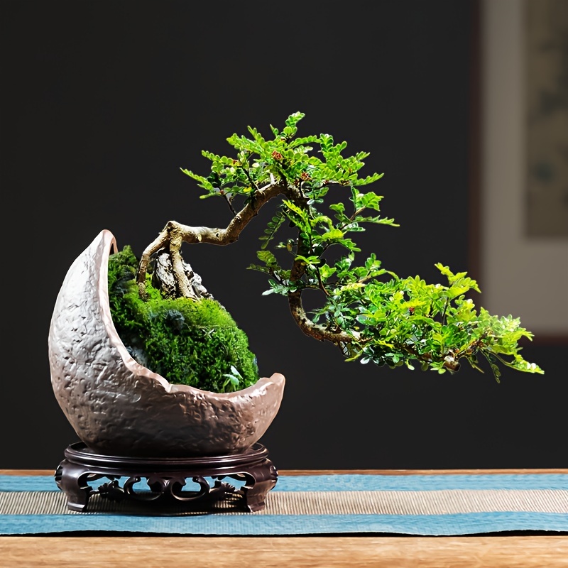 

Bonsai Pot Drainage , Irregular , Lacquered , And For Potted , Bonsai, And Ornamental Arrangements