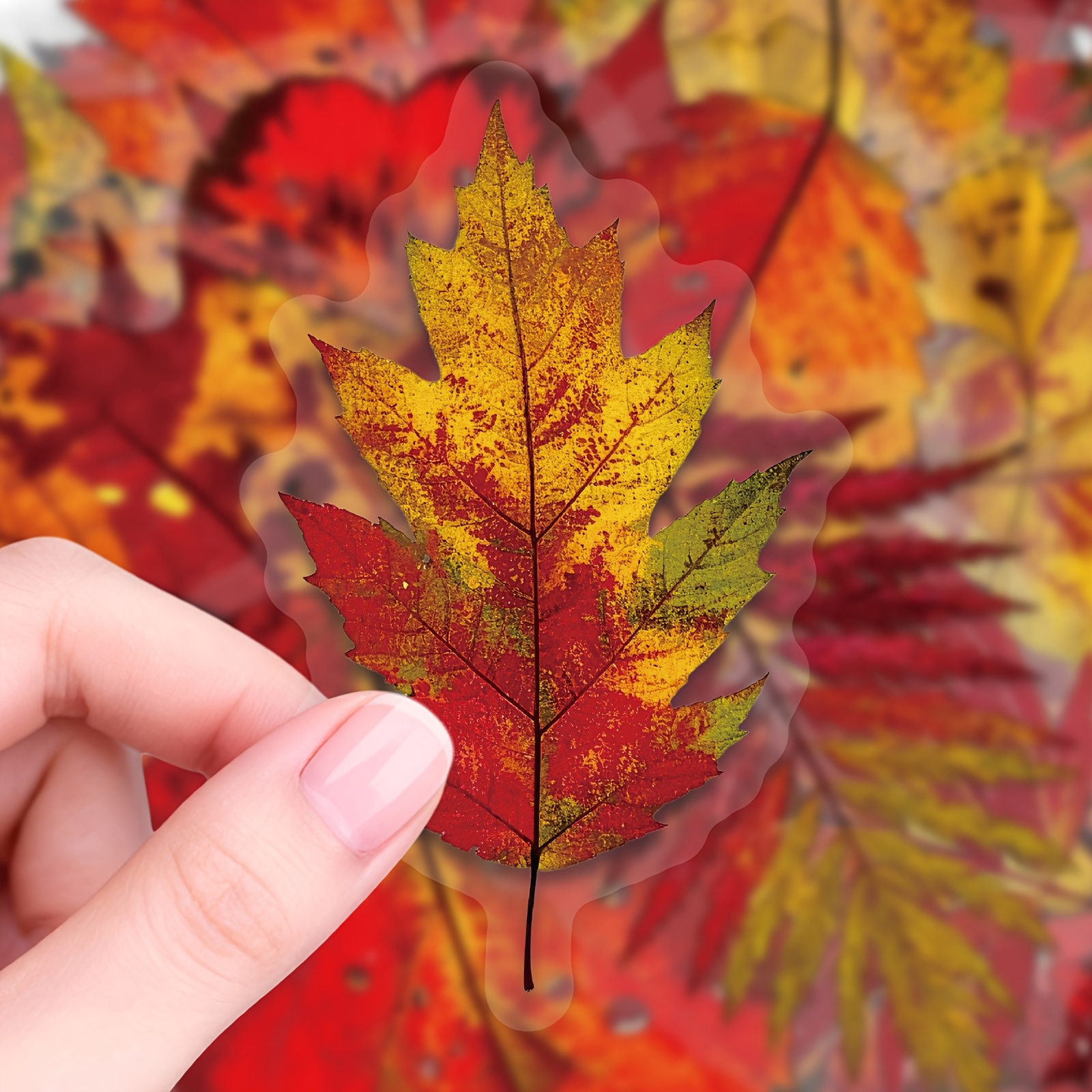 TEMU 56pcs Autumn Falling Leaf Theme Pet , Suitable For Scrapbooks, Notebooks, Computers, Phone Cases, Guitars, Doors, Water Bottles, Motorcycles,