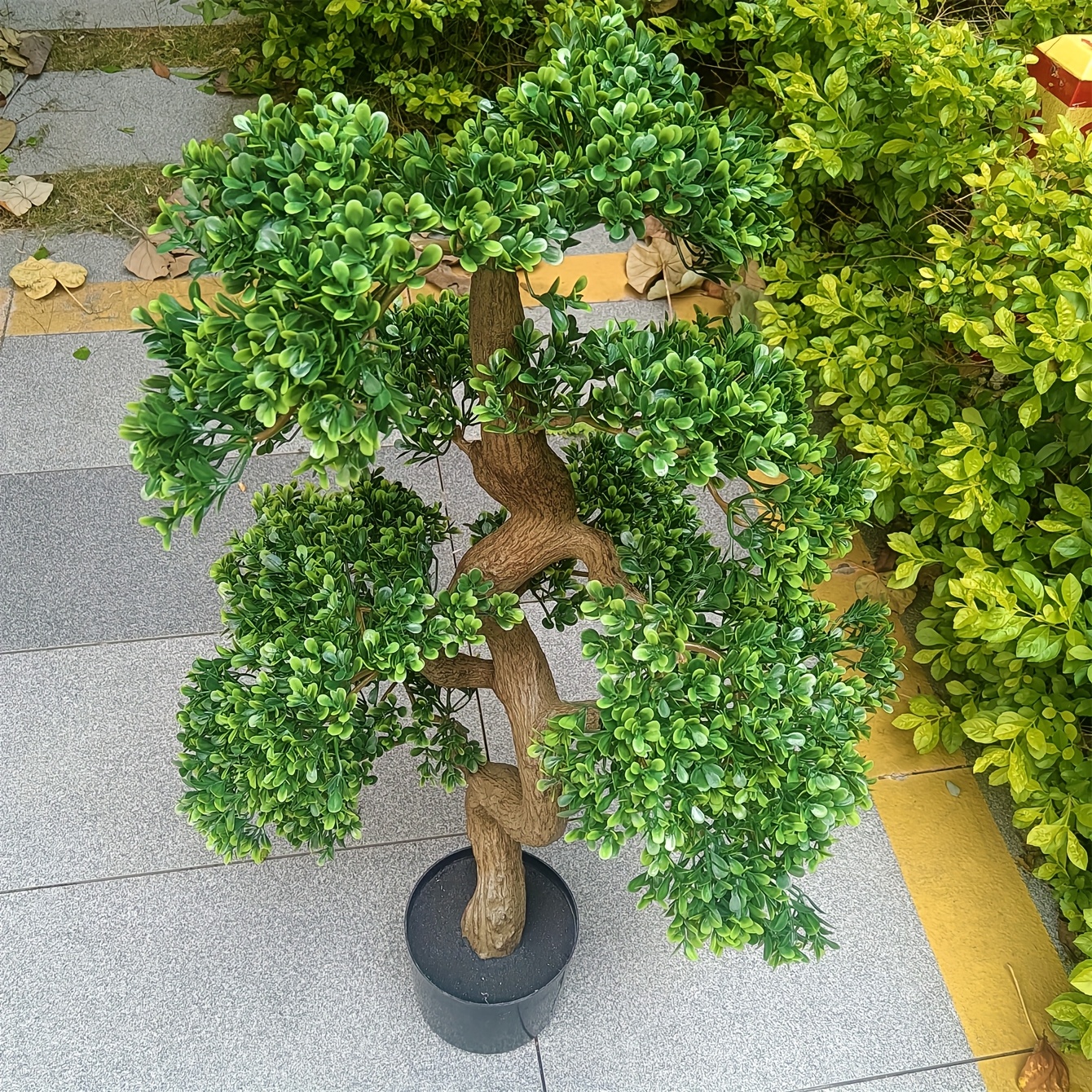 groer knstlicher geld baum bonsai hof villa balkon - Temu Switzerland