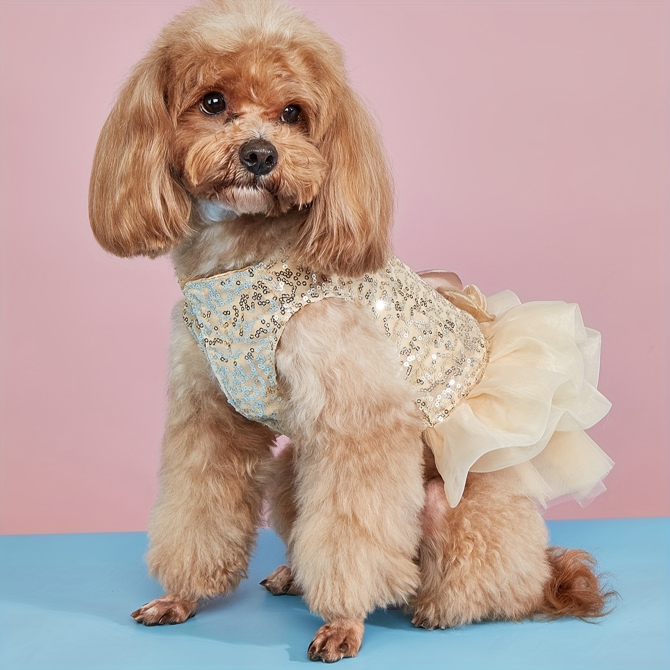 dog sequin dress Picture Perfect Tutu Dress, Red Sequins L