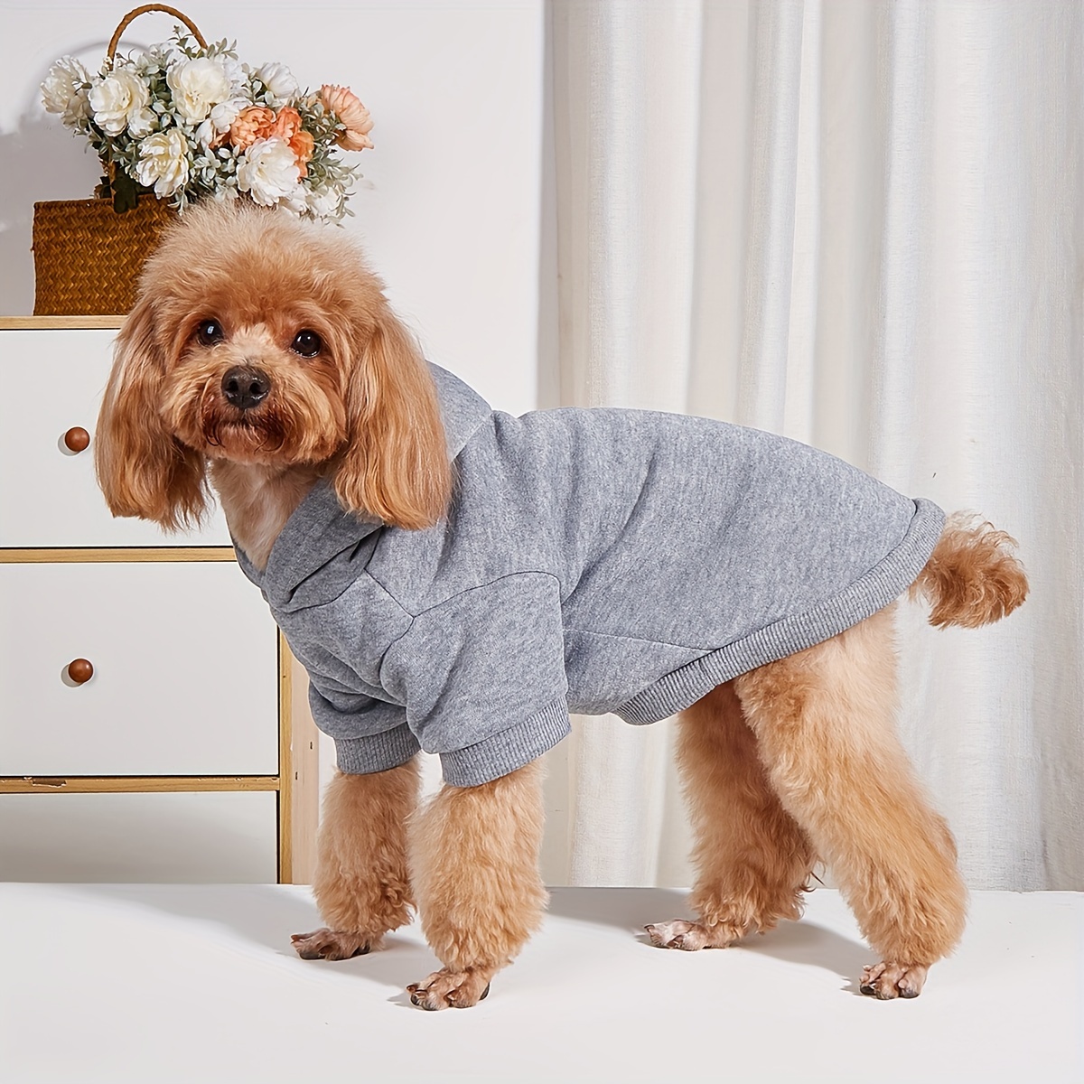 Dog clearance sweater hoodie