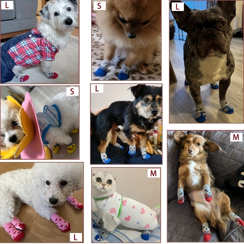 4 Calzini Antiscivolo Per Cani Piccoli E Gatti – Proteggi Zampe In Poliestere Traspirante, Blu E Grigi, Per Interni Ed Esterni