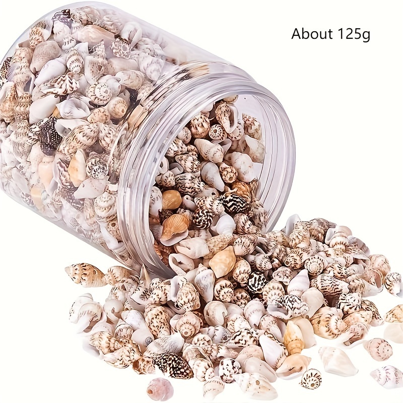 TEMU Canned Natural Shells/conches Beads For Making, Home Decoration