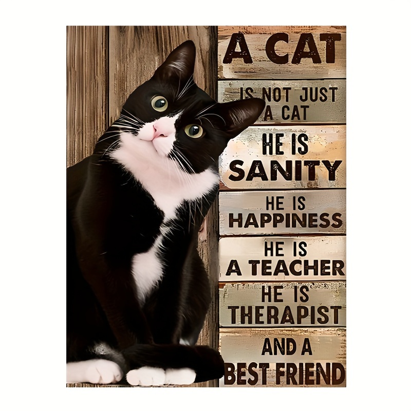 

Black Cat Diamond Art Painting Kit 5d Diamond Art Kit, Painting Arts And Crafts Home Wall Decor With Diamond Gems
