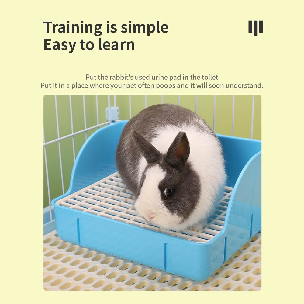 1546d94f D9c9 431a A065 6f0636183b69