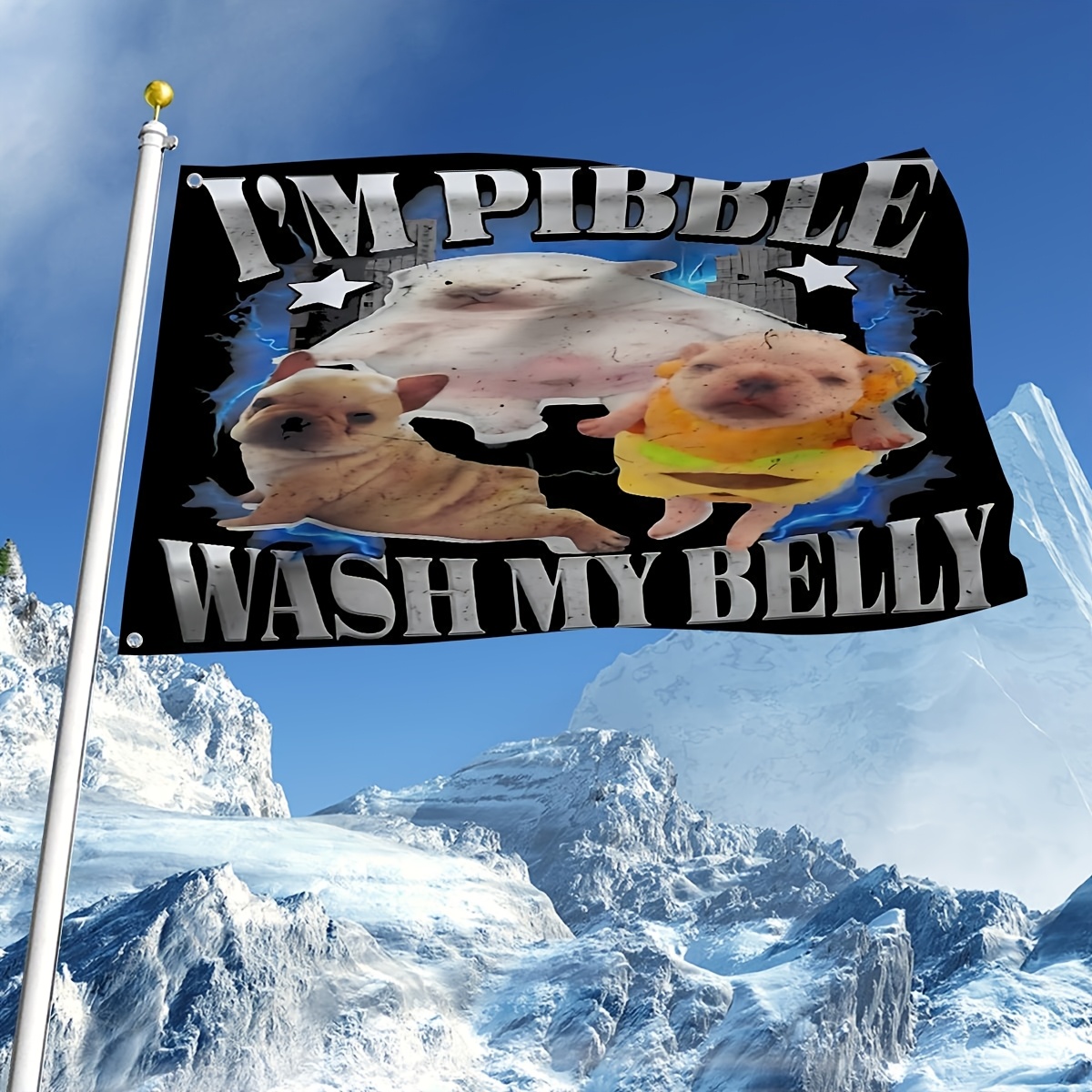 meme decor sold on Temu United States