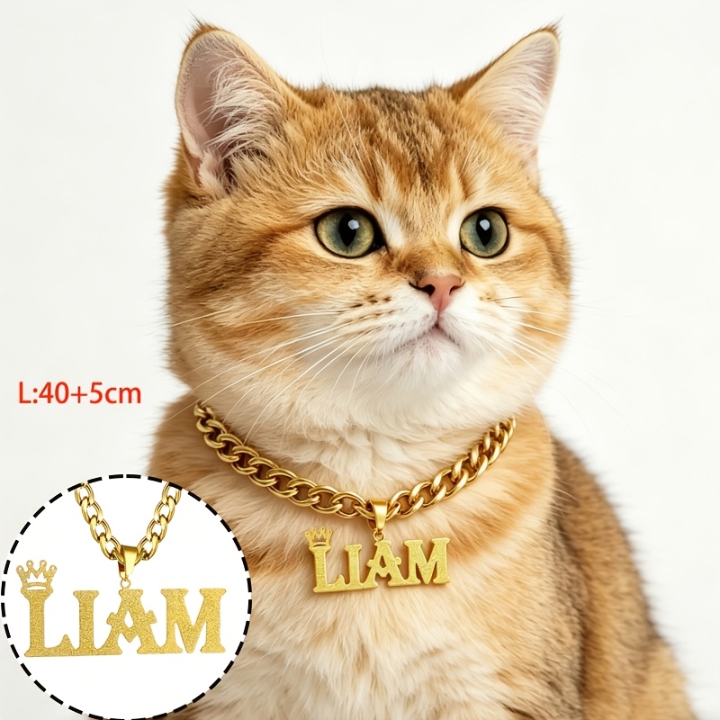 TEMU Custom Cat And Dog Name Necklace Stainless Steel Frosted Additions Pet Personalized Id Tag Universal Additions Pet Id Anti-lost Unique Gift For