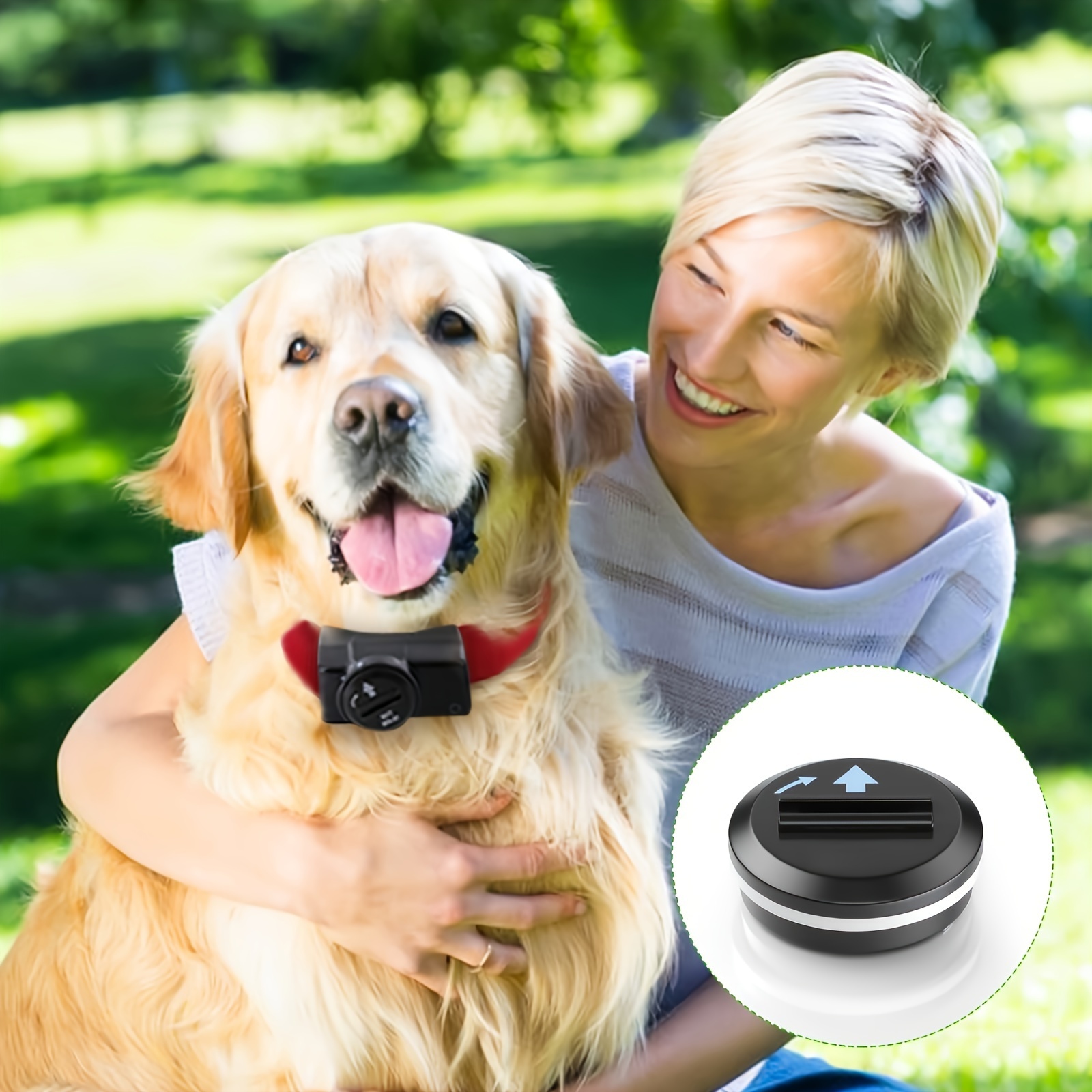 6 volt battery hot sale for bark collar