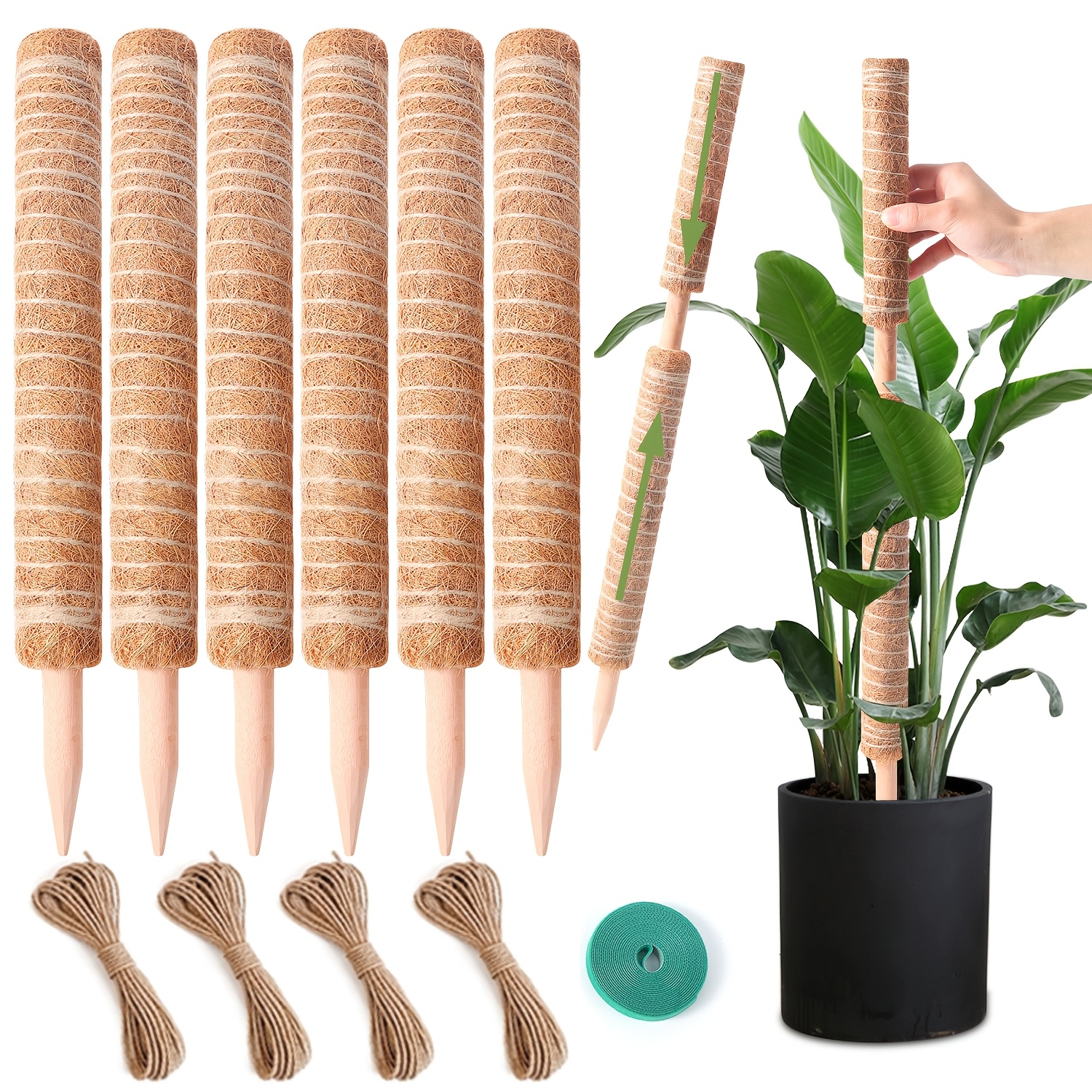 monstera pole sold on Temu United States