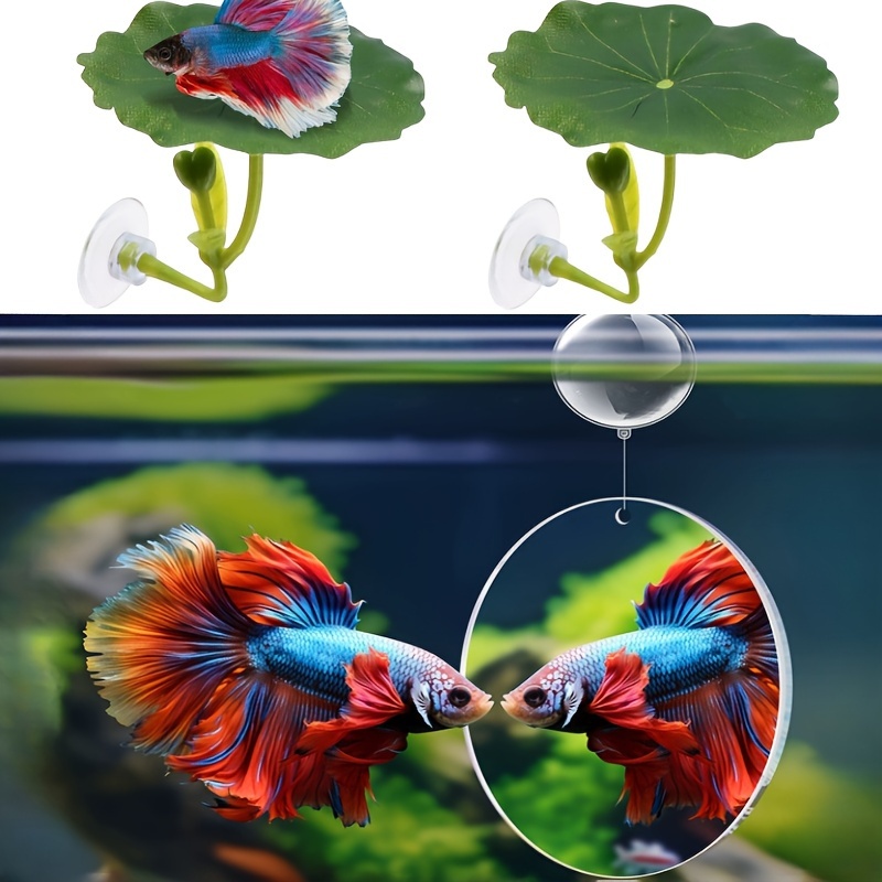 

Double-sided Acrylic Mirror For Betta Fish Training - , Diving Leaf, And Crystal Decoration - Suitable For Aquariums