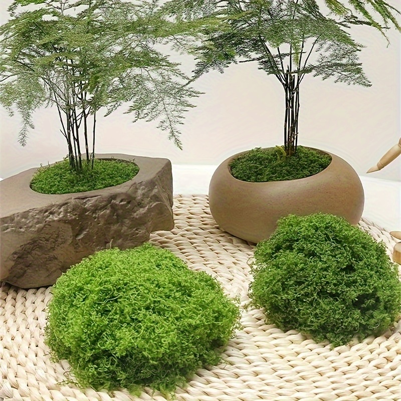 100/500/1000g Simulazione Paesaggistica Con Muschio Artificiale, Layout  Micro Paesaggistico Con Muschio Artificiale Biomimetico, Bonsai Da Prato,  Decorazione Per Pavimentazione Con Piante In Vaso - Casa E Cucina - Temu  Italy