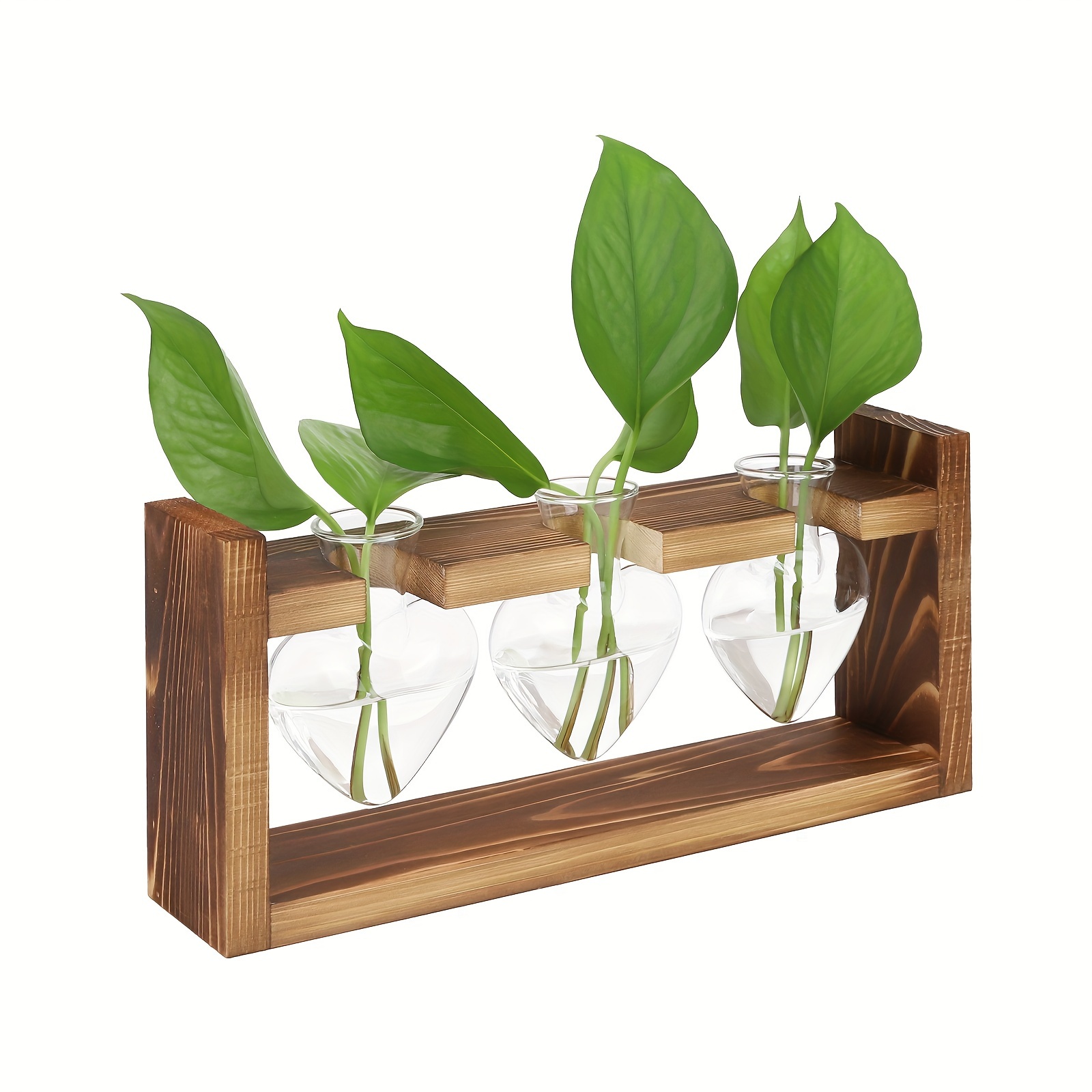 Plant Terrarium With Wooden Stand, Plant Propagation Stations With