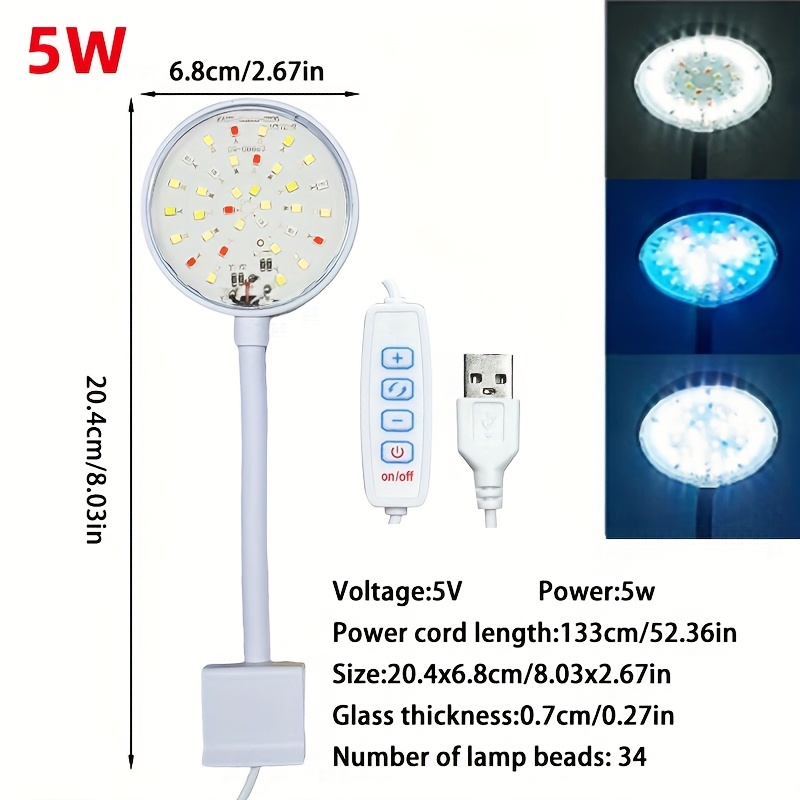 Led Lighting for Small Ornamental Tanks: Brighten Your Aquarium Perfectly