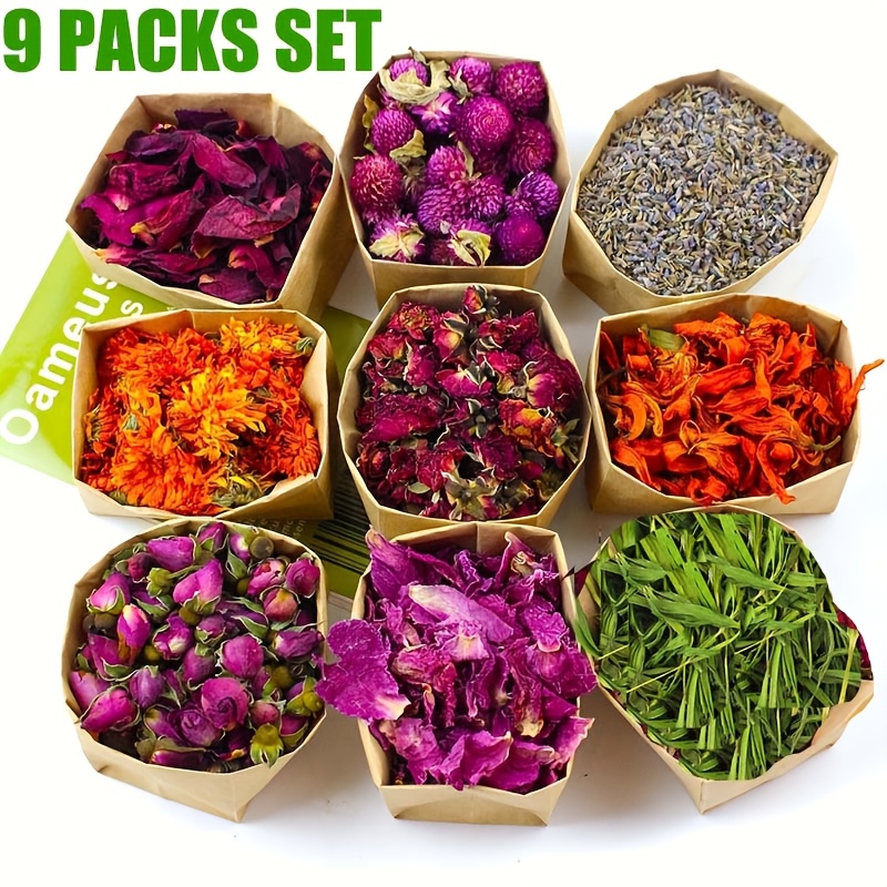 TEMU 9pcs Set - Dried Flower Craft Set, Dried Flowers, Dried Plants, Roses, Jasmine, Peonies, Lavender, -me-, Resin Jewelry Making, Diy Candles,