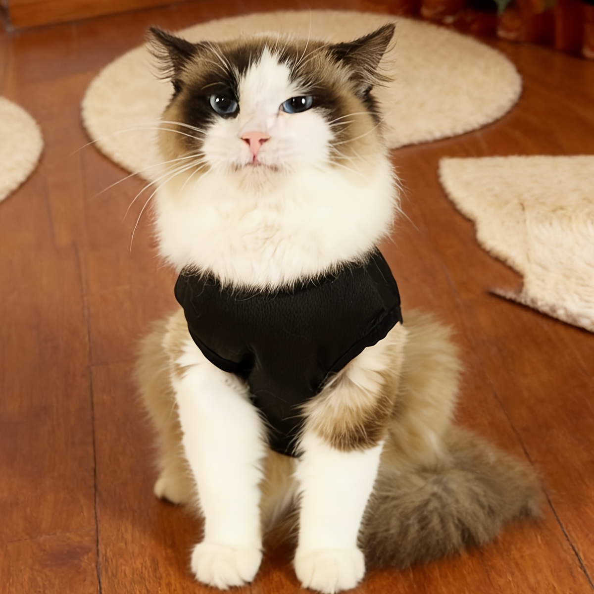 1pc summer thin sun protection anti shedding vest for pet dogs and cats suitable for corgi teddy bear dog pomeranian and other small breeds puppies and kittens Product details 2