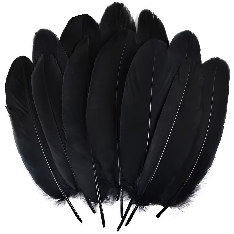 E-shop 100 Stück dekorative Federn 6-8 Zoll 15 cm für Basteln, DIY, Cosplay, Hochzeit, Party, Halloween, Valentinstag-Dekoration, Gänsefedern