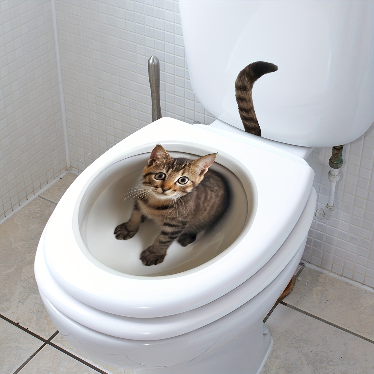 

Single Use 3d Cat Toilet Lid Decal, Animal Print, Self-adhesive Pvc, Plastic Surface, With Bathroom Decoration M14555-nl