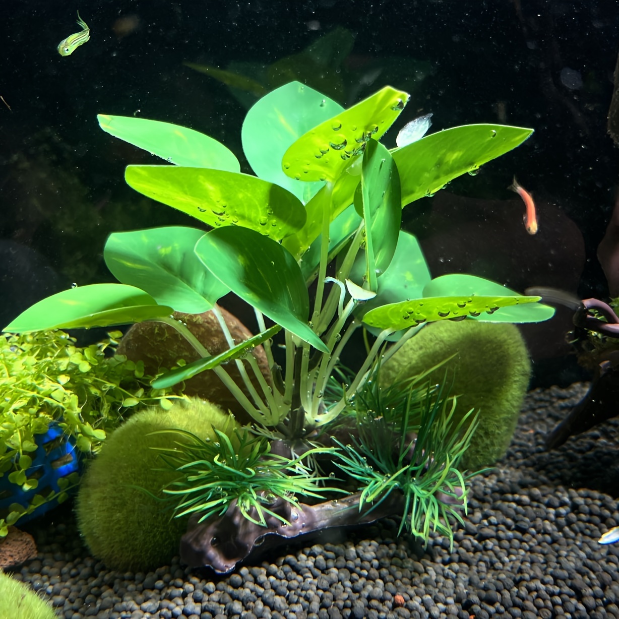 2 Pack Aquarium Plants - 15 Inch Tall Plastic Artificial Plants For Fish Tank Decor