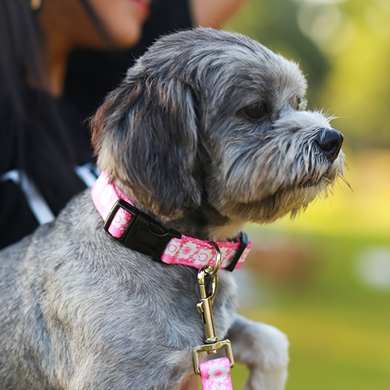Collar and Leash Set for Small Dogs, Printed Design