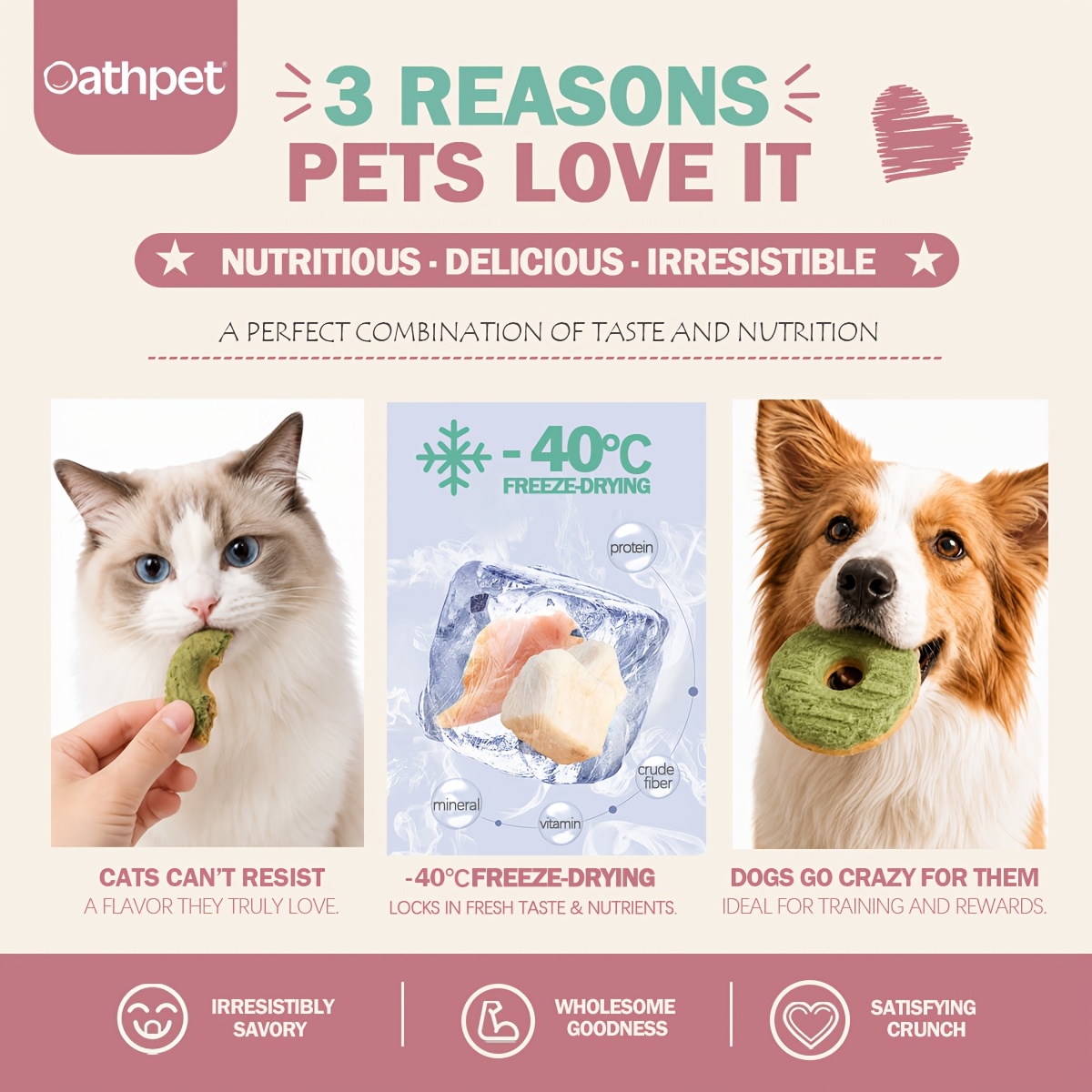 oathpet premium freeze dried double layer donut treats for   chicken salmon with cat grass cheese high protein daily reward snacks 15 count Product details 5