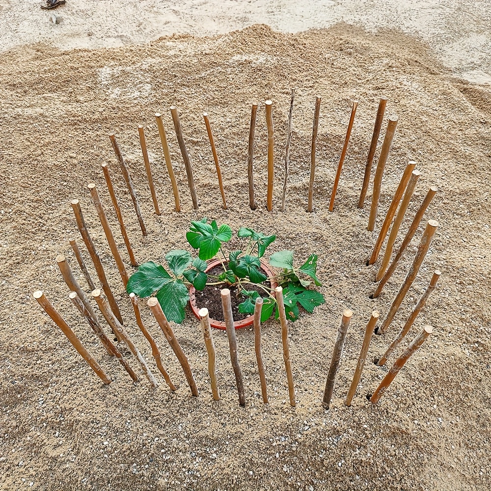 natural wooden sticks length diameter diy fairy tale garden Temu