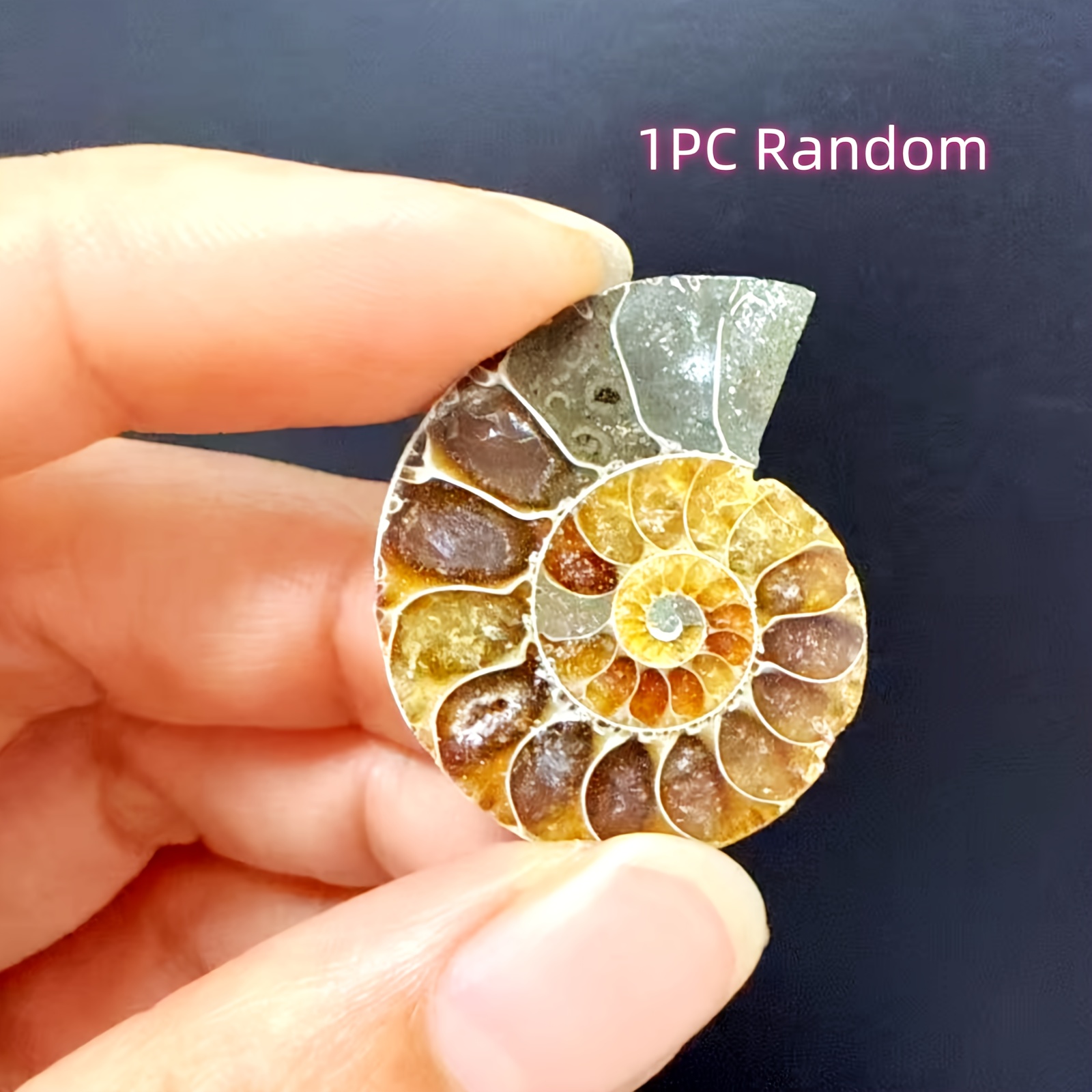 TEMU 1pc/chrysoprase Shell Mineral Ornament, Decor, Random , Perfect Collectible Craft, Party Gift, Graduation Gift, Father's Day, Mother's Day Gift,