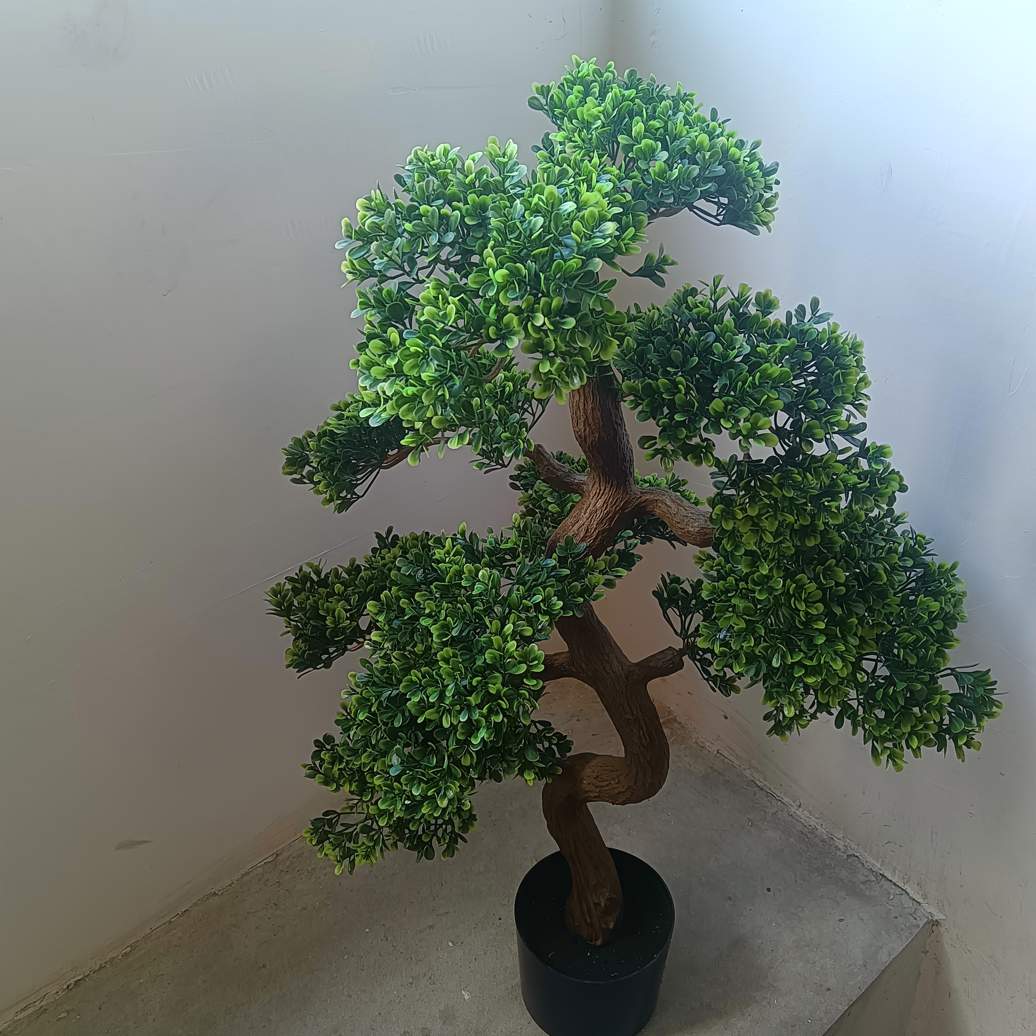 groer knstlicher geld baum bonsai hof villa balkon - Temu Switzerland