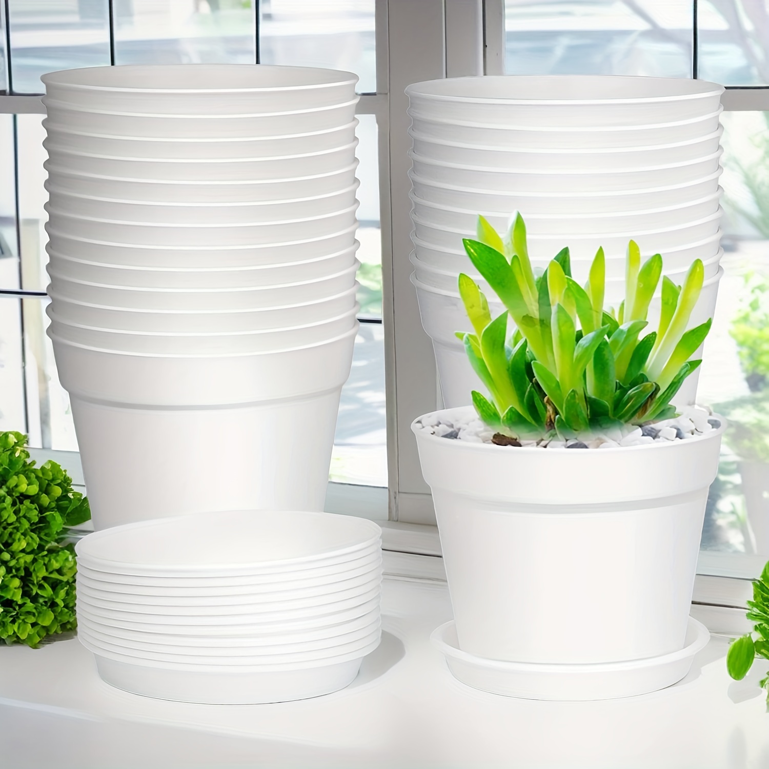 w3604 24 24pcs 4 inch plant pots drainage holes - Temu Japan