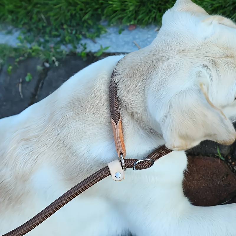 durable nylon p chain leash medium large dogs automatic Temu Denmark