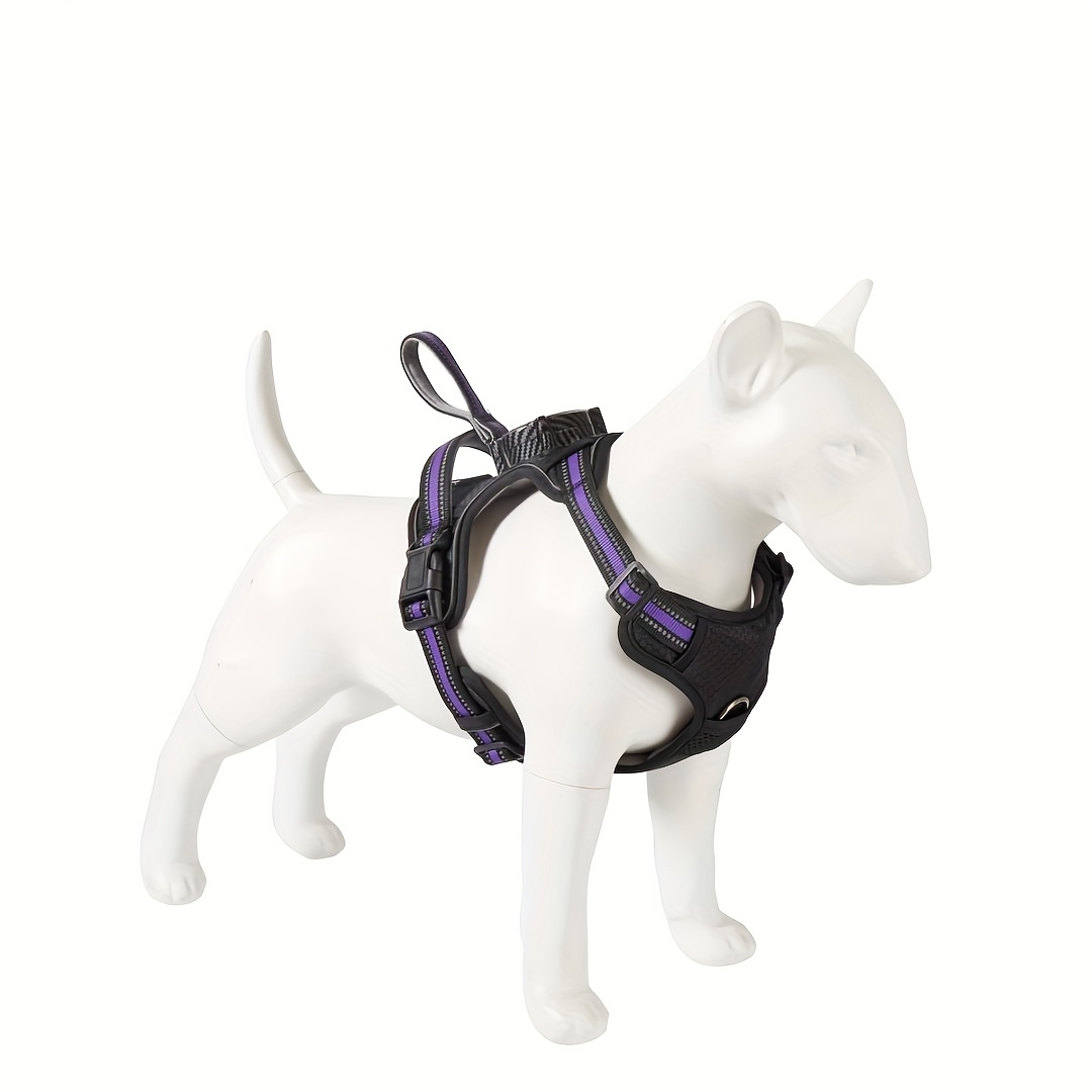 All-in-One Dog Harness, Collar, and Leash Set