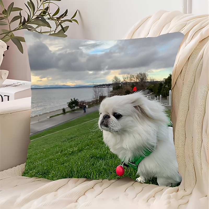 

1pc In , 18x18 , , , Polyester Decorative , For , Sofa, , , Car Decor