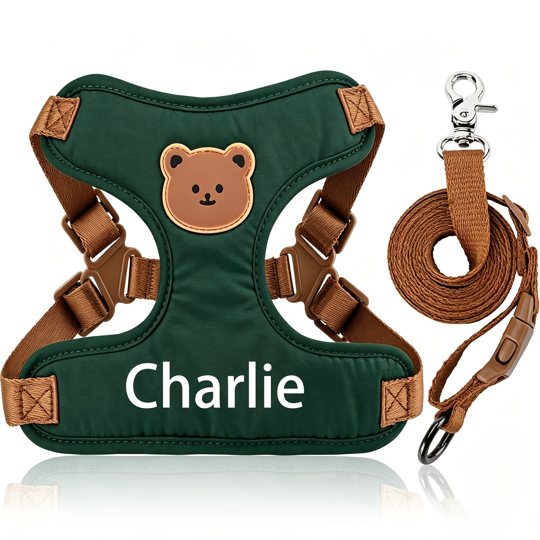 Name/Text Pet Harness and Leash System for Outdoor Walks