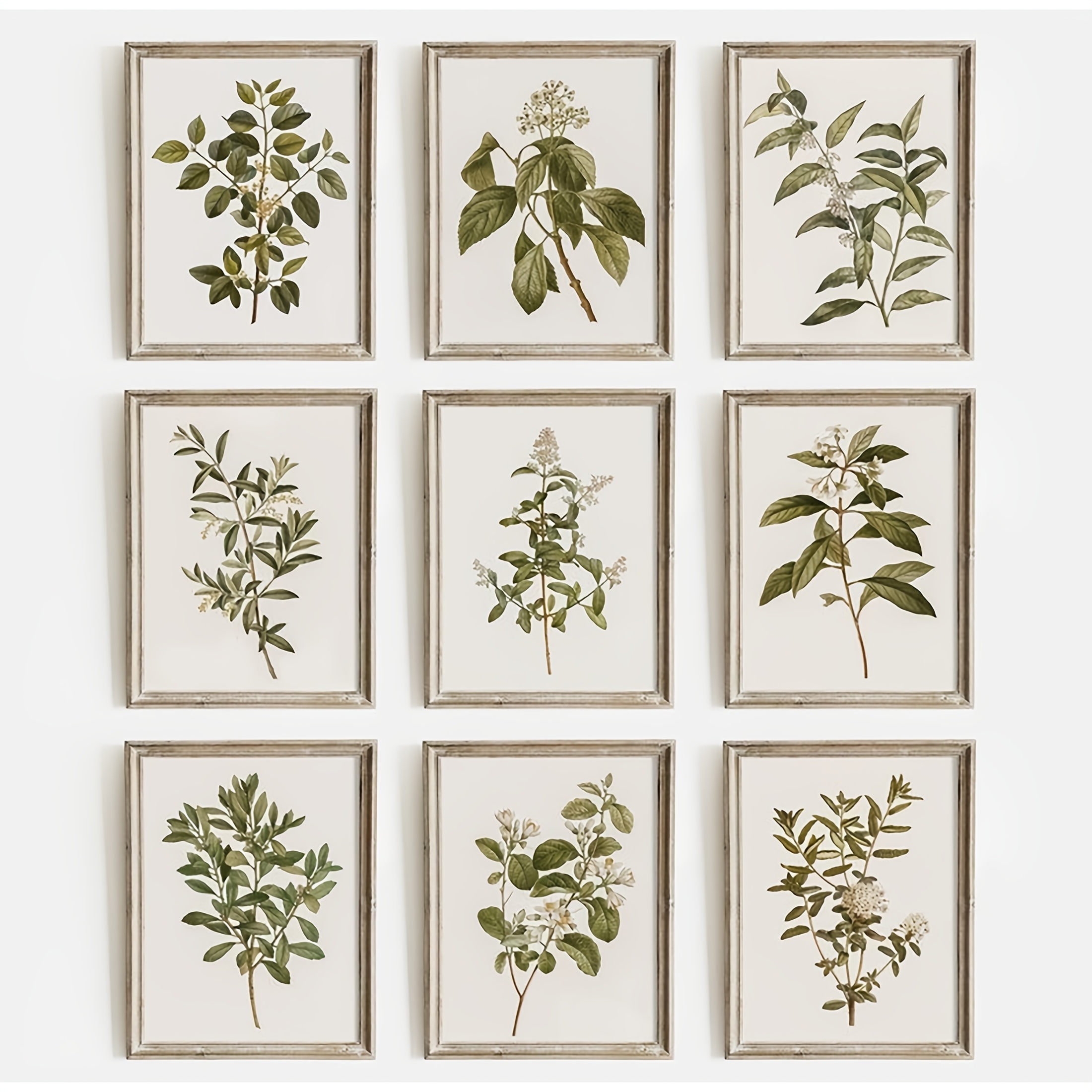 

Room Decor 9pcs Botanical Canvas Prints Set, Vintage Plant Art Posters, Polyester Wall Decor For Farmhouse, Kitchen, Office, Bathroom - Green And White 8x10 Inches Each