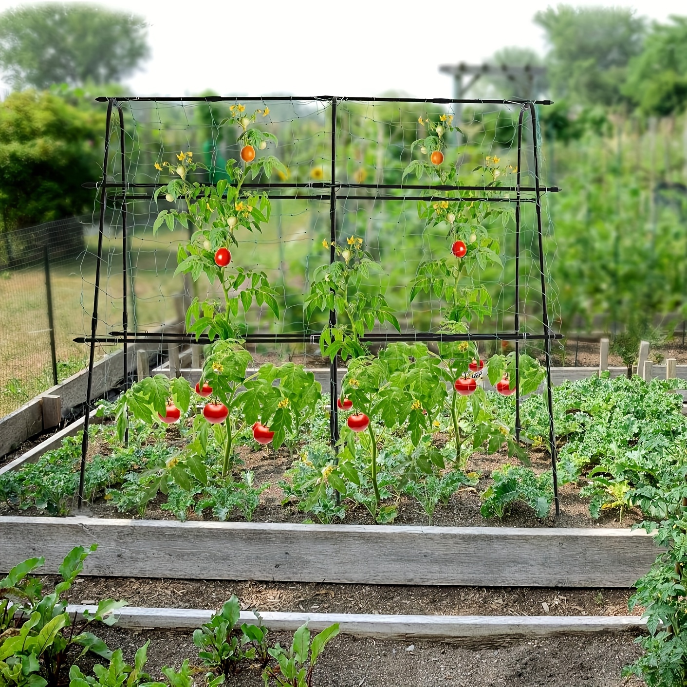 Treillis Métallique STFALI Pour Plantes Grimpantes - Structure En A 40x100cm - Concombre, Tomates, Fleurs
