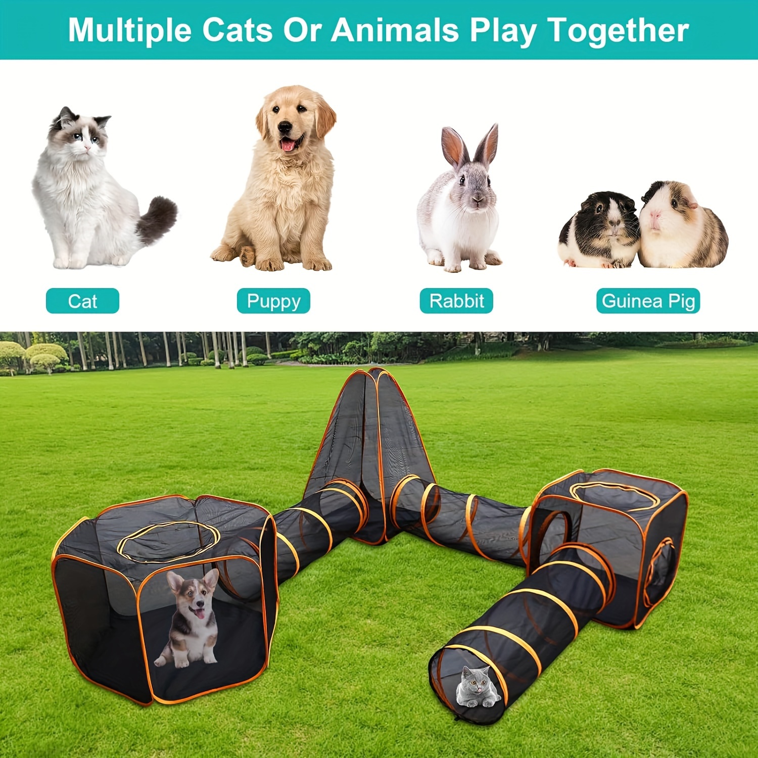 Amazon Large Cat Tent In Pet Cat And Dog In Large Space Cat