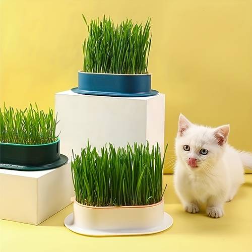 (Without Seeds) Cat Grass Planting Box, Planting Hydroponics Box, Garden Seed Sprouter Tray, Seed Sprouting Trays Set