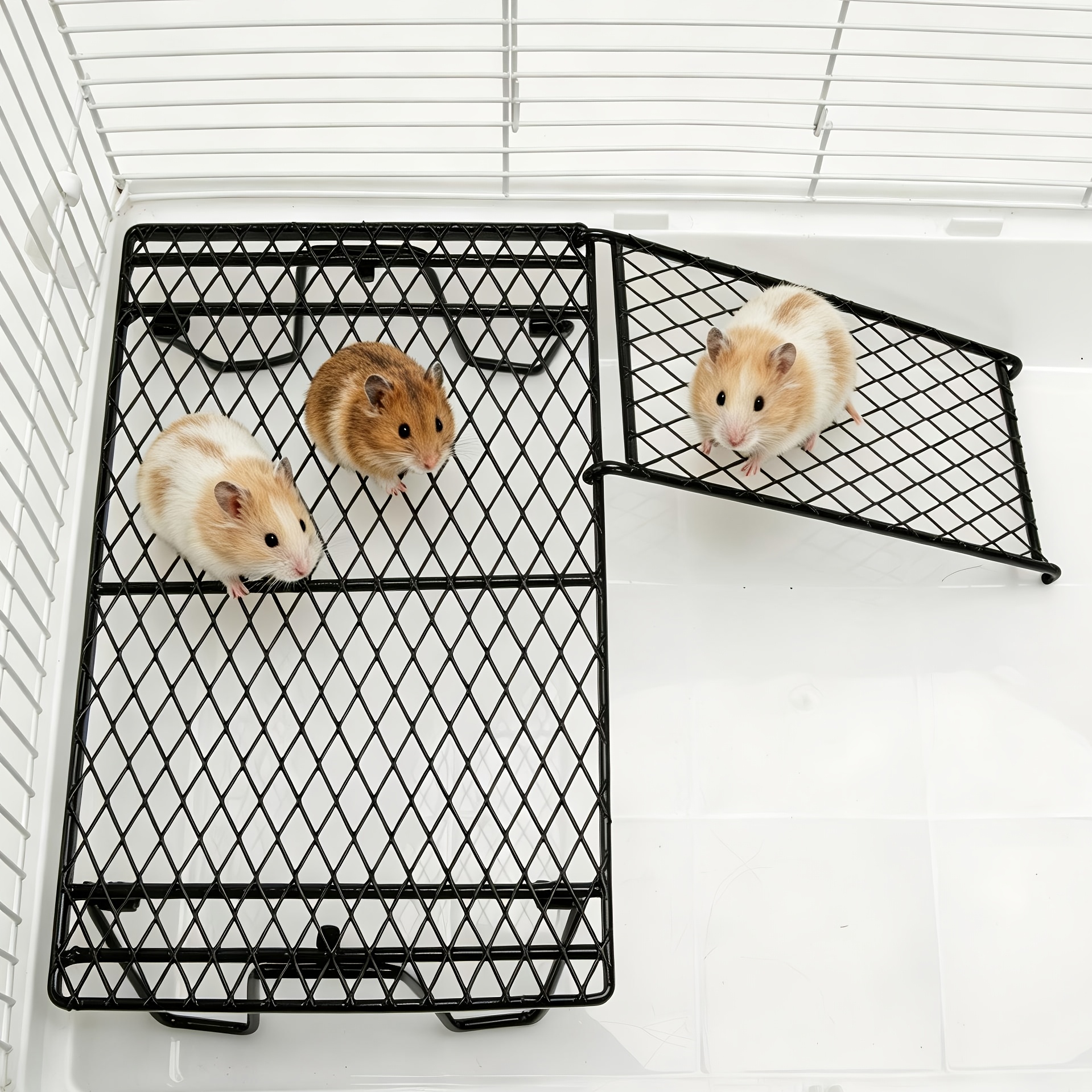 Stainless Steel Hamster Rest Platform with Ladder