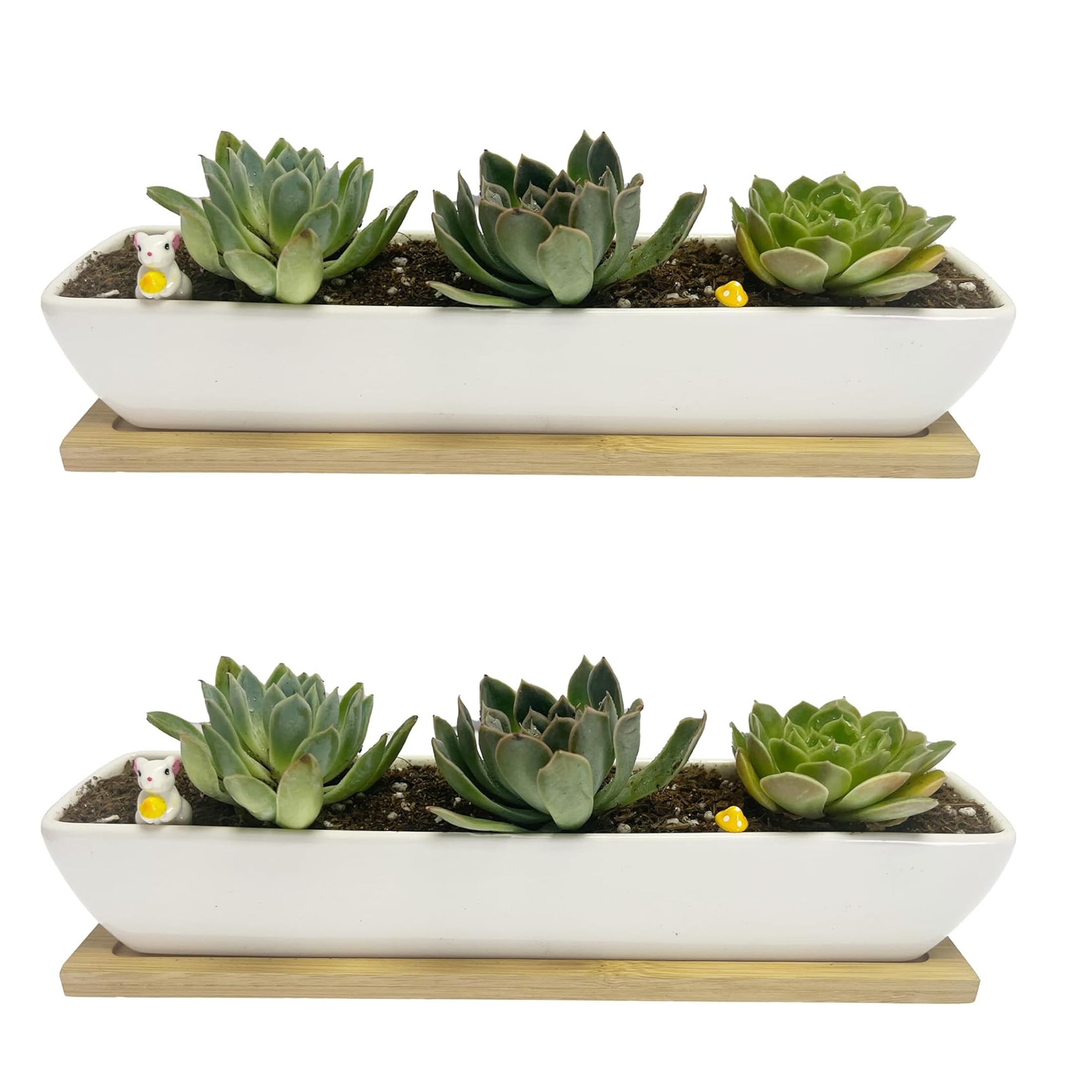2 pack white succulent planter pots 11 1 inch long rectangle - Temu Spain