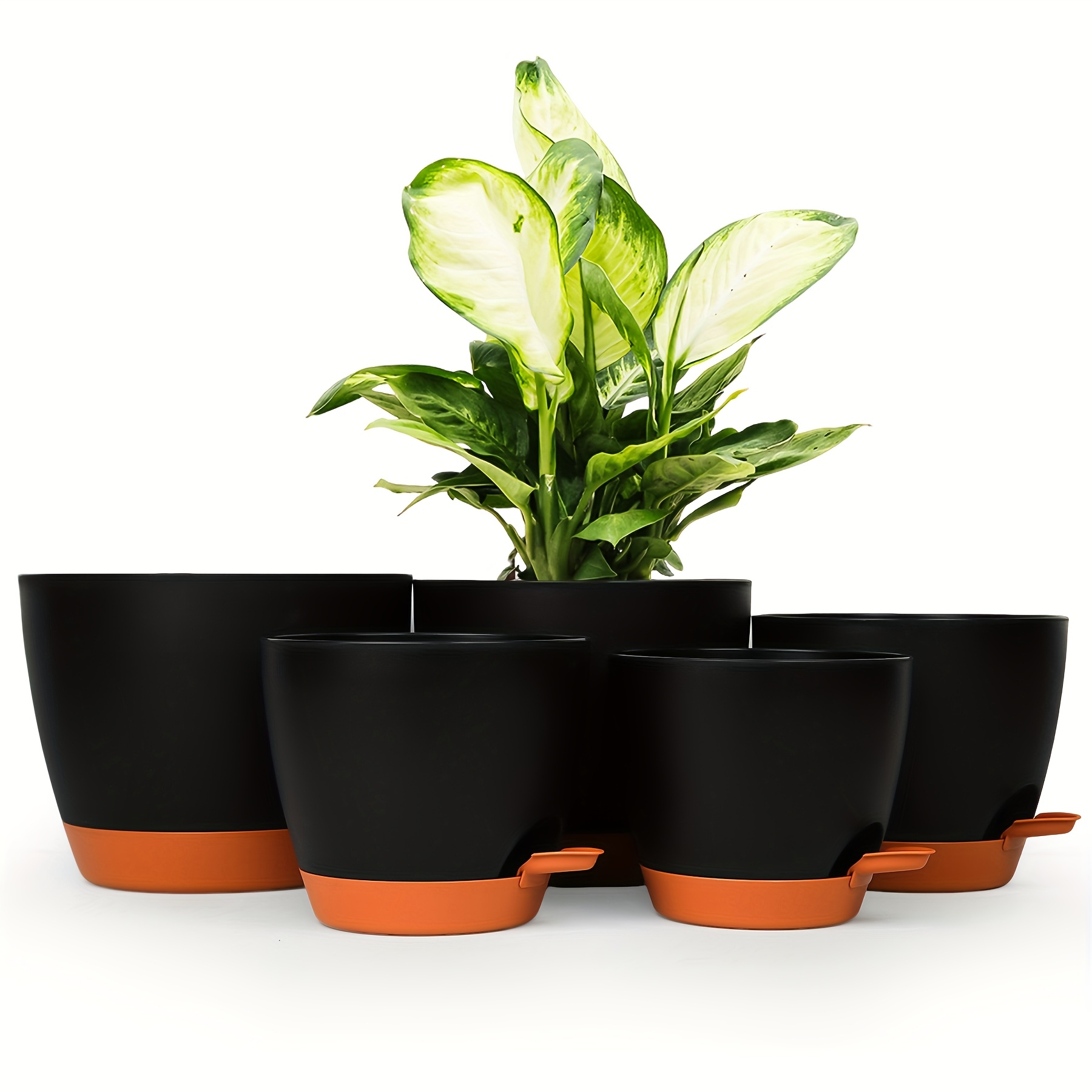 wholesale succulent pots 4