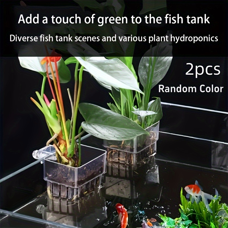 

2pcs -mounted - Water Growing Cups For Tank Decor