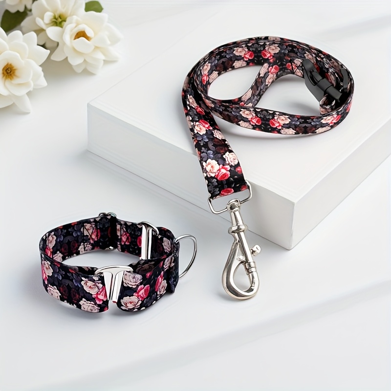 Multi-Functional Dog Collar and Leash Set for Outdoor Walks