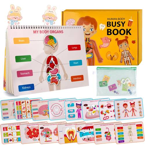 Busy Book for Toddlers 3-6, Anatomy Book for Kids, Preshool Kindergarten Learning Activities, Toys, Travel Toys, Gifts for Girls And Boys 4 Years, Suitable for Children Learning at Home Or Classrooms