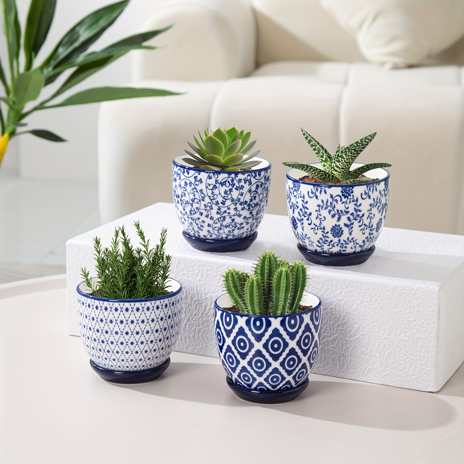 4pcs, 3.5 Inch Ceramic Mini Succulent Planter Pots, Small Flower Pot with  Drainage Holes And Saucers for Indoor Plant, Cactus, Herbs, Outdoor Plants,  Home Decor - Christmas, Thanksgiving, Parties, ...
