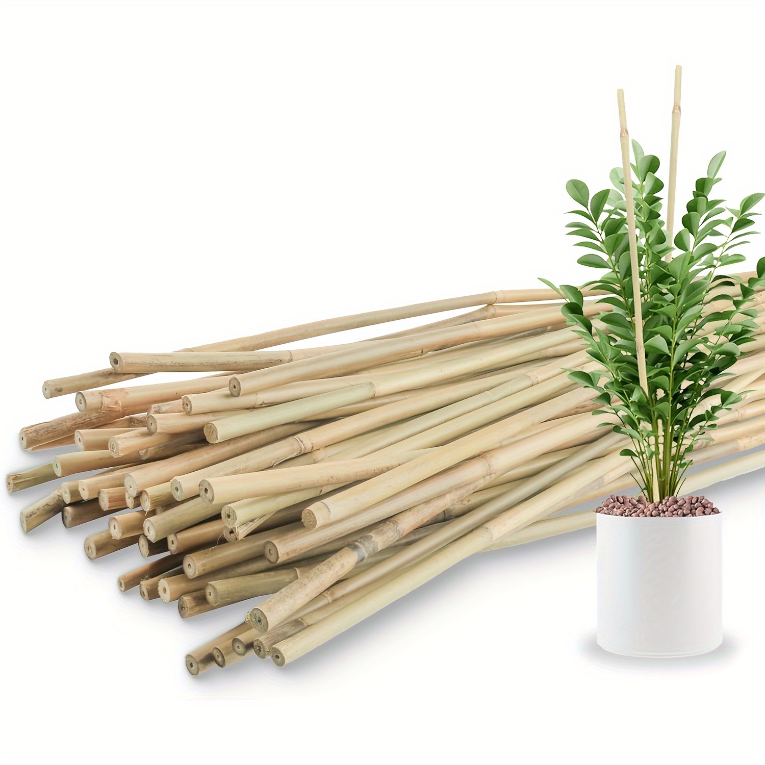 

50pcs 5ft Long Bamboo Plant Stakes, 0.3"-0.4" Diameter - Garden Support For Indoor & Outdoor Plants, Ideal For Tomatoes, Vegetables, Beans, Trees & Climbing Greenery