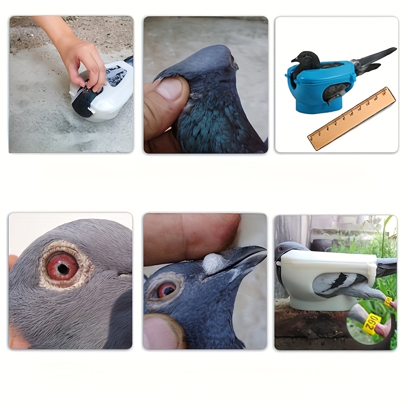 Pigeon Fixing Rack Bird Feeding Injection Vaccine Supplies, Pet Bird Birdcage Accessory, Durable Abs Material Random Colors