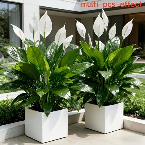 artificial simulation greenery white peace heart shaped flowers with and green leaves no maintenance required home indoor outdoor decor hotel decoration