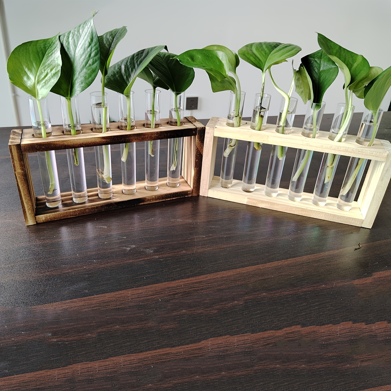   of 3 hole and 6 hole wooden hydroponic flower racks plus test tubes excluding plants suitable for home and office interior and exterior decoration