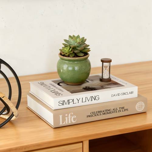 a set of 2 minimalist decoration books suitable for decoration bedroom living room and office decoration home dining table ornaments and gifts