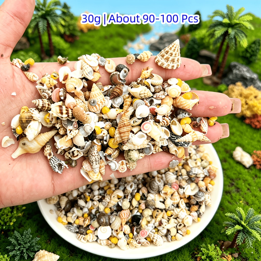 TEMU 1 Pack Contains Mini Conches, Shells, Starfish, And Other Small Marine Decorations. Suitable For Micro-landscape Decoration, Ocean-themed