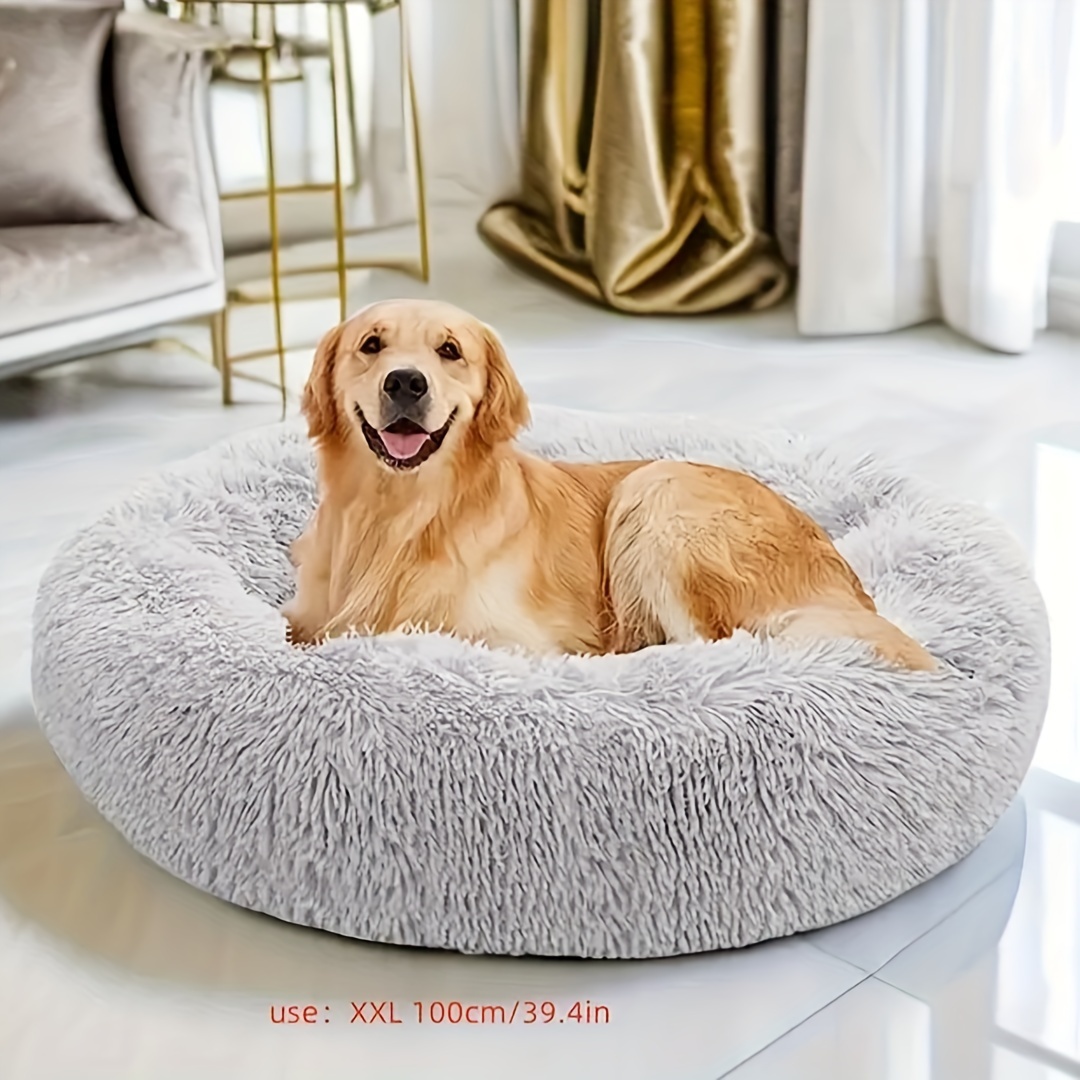 Rampa para perros para cama alta, escaleras de cama para mascotas  desmontables con cubierta extraíble, escalones para perros pequeños -   España
